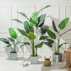 Simulated Green Plants, Nordic Decoration, High-End Light Luxury Living Room Floor-Standing Artificial Potted Plants, Indoor Areca Palm Fake Plants for Landscaping Simulated Green Plants, Nordic Decoration, High-End Light Luxury Living Room Floor-Standing Artificial Potted Plants, Indoor Areca Palm Fake Plants for Landscaping