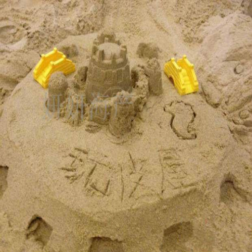 天然白沙子 细白海沙 儿童沙池专用玩具沙 装饰沙 水族沙80/100斤