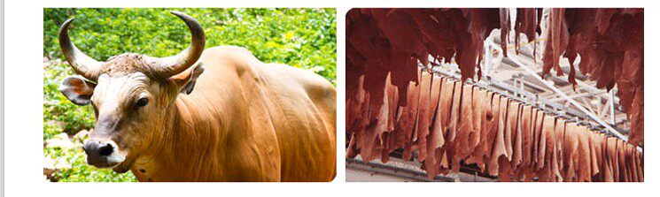 Защитная обувь 包邮透气防臭劳保鞋男钢包头防砸防刺穿安全实心防水耐油夏季工作 Tal Shield