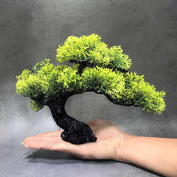 Artificial Welcoming Pine Green Plant Leaves Branches Potted Fake Flowers Plastic Flower Ornaments Fake Pine Tree Props Bonsai Decorations Artificial Welcoming Pine Green Plant Leaves Branches Potted Fake Flowers Plastic Flower Ornaments Fake Pine Tree Props Bonsai Decorations