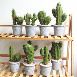 Artificial Tropical Plants, Cactus, Simulated Potted Cactus, Landscaping Plants, Simulated Succulents, Home Living Room, Supermarket Artificial Tropical Plants, Cactus, Simulated Potted Cactus, Landscaping Plants, Simulated Succulents, Home Living Room, Supermarket