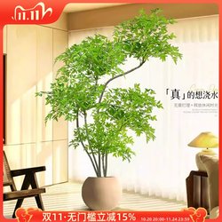 Simulated Green Plant, Nandina Bamboo, Artificial Plant, High-End Light Luxury Living Room Decorative Tree, Indoor Large Potted Plant, Floor-Standing Ornament Simulated Green Plant, Nandina Bamboo, Artificial Plant, High-End Light Luxury Living Room Decorative Tree, Indoor Large Potted Plant, Floor-Standing Ornament