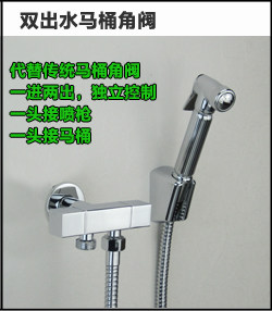 Биде 净身妇洗器喷头 全铜 洁身器 增压马桶冲洗伴侣喷枪 妇洗器套装 Genovese