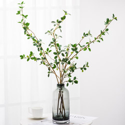 Japanese-Style Artificial Green Plant Hanging Bell Leaf Milanese Horse-Dranker Tree Fake Flower Artificial Flower Large Floor-Standing Decoration for Living Room Decoration Japanese-Style Artificial Green Plant Hanging Bell Leaf Milanese Horse-Dranker Tree Fake Flower Artificial Flower Large Floor-Standing Decoration for Living Room Decoration