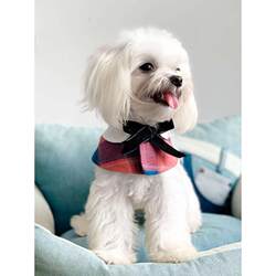 New pet dog cat saliva towel brushed velvet shawl scarf jewelry clothing accessories scarf red New pet dog cat saliva towel brushed velvet shawl scarf jewelry clothing accessories scarf red