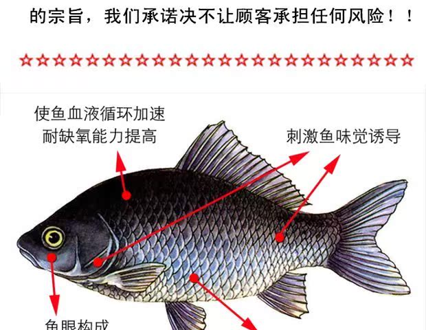 钓鱼饵料丁香油钓鱼专用药酒鱼饵添加剂小药台