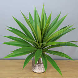Gladiolus agave imitation orchid fake artificial green Guangdong manufacturer yellow crown sisal wholesale tropical plants real big potted plant Gladiolus agave imitation orchid fake artificial green Guangdong manufacturer yellow crown sisal wholesale tropical plants real big potted plant