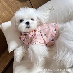 Swan Lake Princess Spring and Summer Pet Home Clothing Raincoat Swan Lake Princess Spring and Summer Pet Home Clothing Raincoat