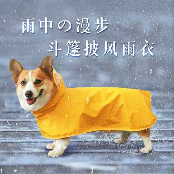 Small dog pet waterproof raincoat dog supplies Teddy Corgi special dog clothes medium-sized four-legged full belly bag
Small dog pet waterproof raincoat dog supplies Teddy Corgi special dog clothes medium-sized four-legged full belly bag