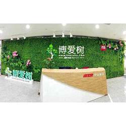 Plant wall green plants on the wall balcony fake flowers turf wall decoration green artificial turf background internet celebrity Plant wall green plants on the wall balcony fake flowers turf wall decoration green artificial turf background internet celebrity