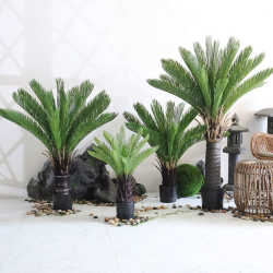 Wholesale simulated plant cycad potted plants indoor landscaping decoration green plants bonsai simulated artificial fake iron trees Wholesale simulated plant cycad potted plants indoor landscaping decoration green plants bonsai simulated artificial fake iron trees
