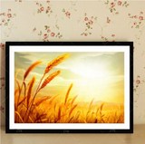 Sun pattern painting sunrise landscape decoration painting tree plexiglass framed painting sunrise