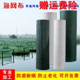 水产养殖水花网箱渔网片网布10目40目80目100目龙虾围网防逃网