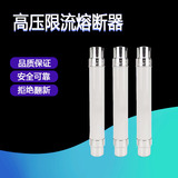 XRNT1-10/12KV/5-10-16-20-25-40A高压高分断限流熔断器SDLAJ