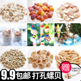 Conch combo natural shell conch color DIY material creative hand wind bell accessories with beads