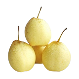 Zhinong's selection of Yali crystal pear