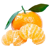 Authentic Huangyan orange, fresh fruit, sugar, orange, Taizhou