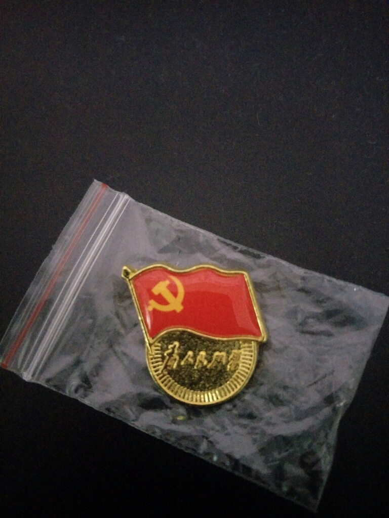 为人民服务强磁小磁铁胸章磁扣胸徽蝴蝶扣徽章党员贴纸党徽大2021年