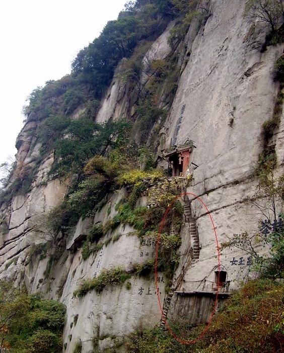 华山一年摔死多少人