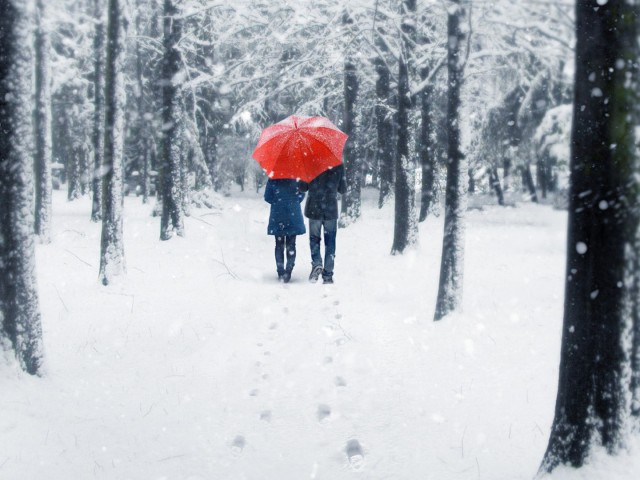 下雪天图片