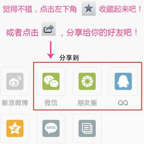 运动穿哪种内衣文胸(3)