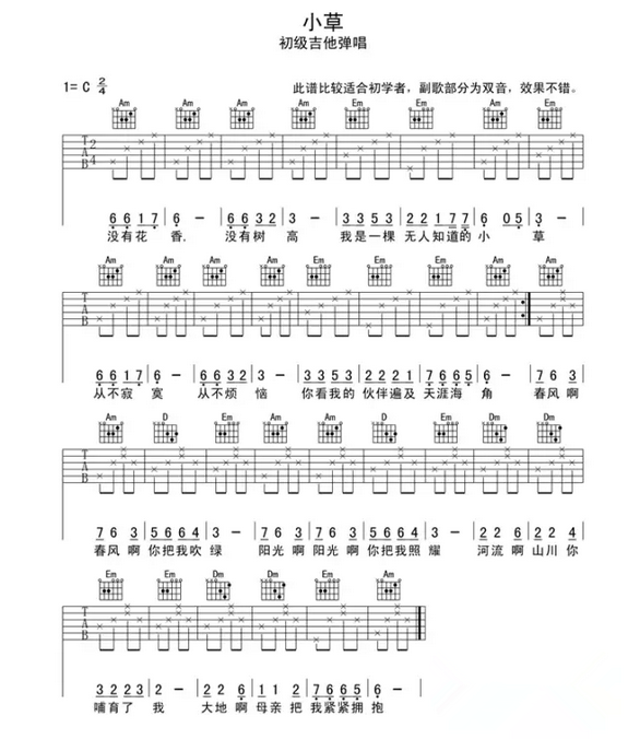 小草吉他谱简单版