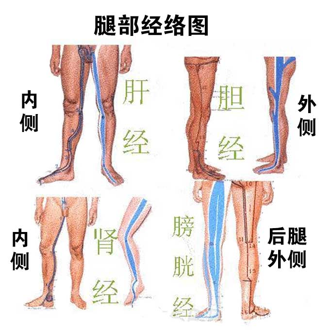 第一次刷腿时痛感会比较明显,因为我们很少会刺激到腿部的经络,所以会