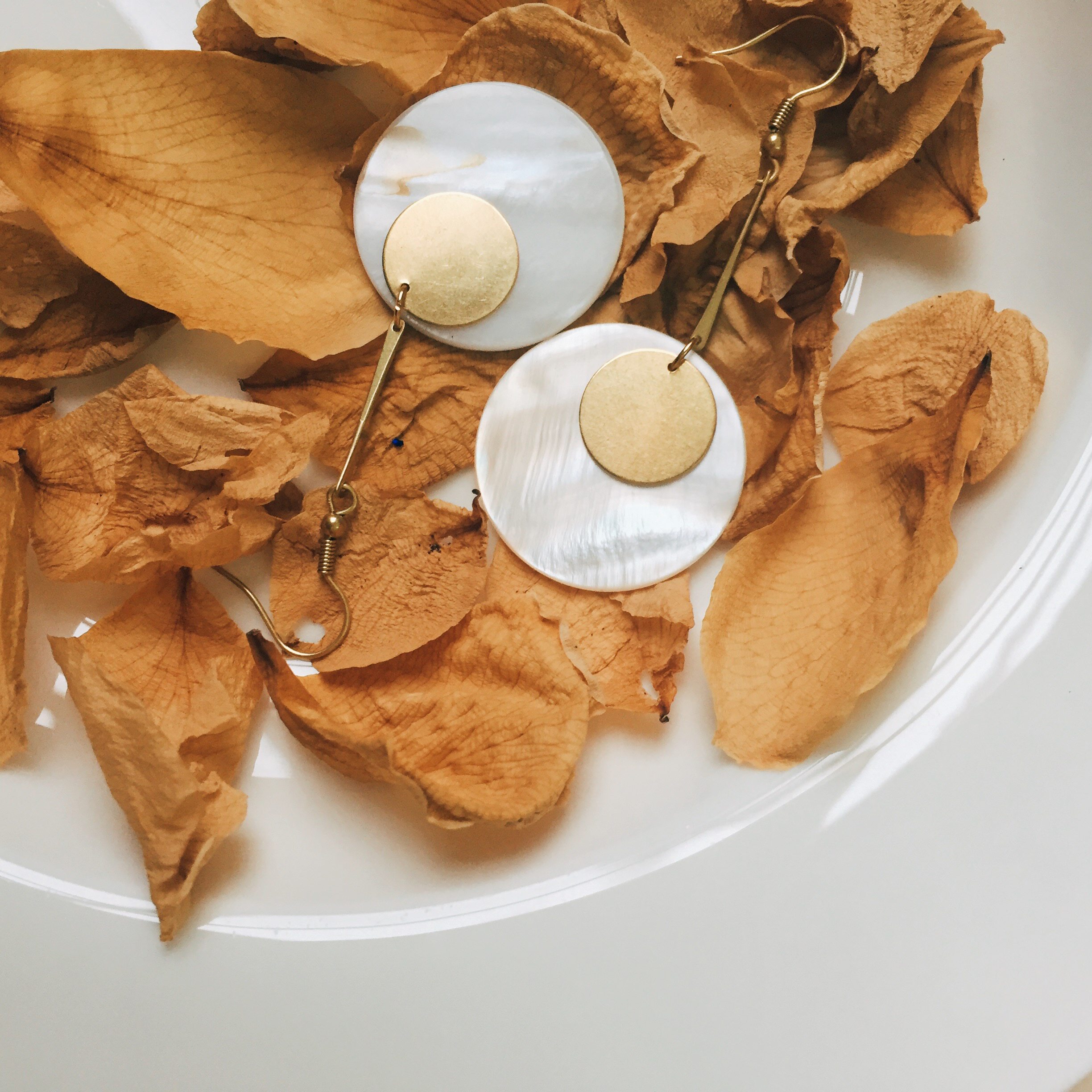 药材 中药 2448_2448