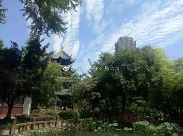 快收假了成都最巴适的小坐、喝茶