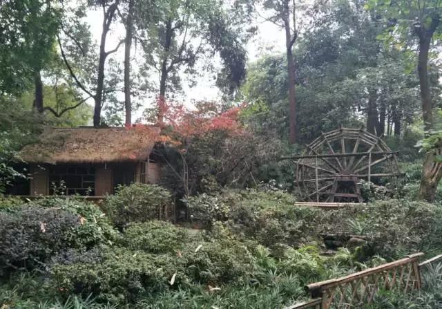 快收假了成都最巴适的小坐、喝茶