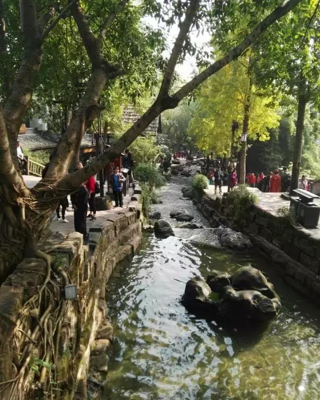 快收假了成都最巴适的小坐、喝茶