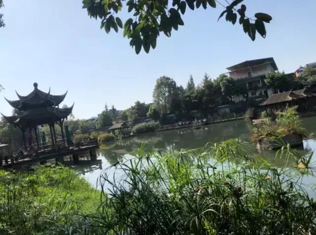 快收假了成都最巴适的小坐、喝茶