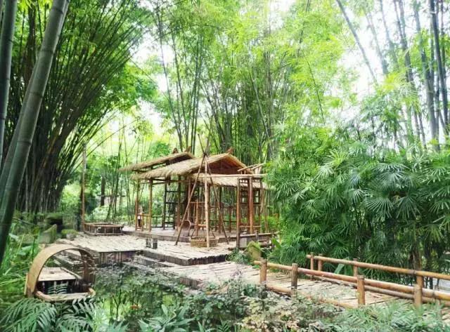 快收假了成都最巴适的小坐、喝茶