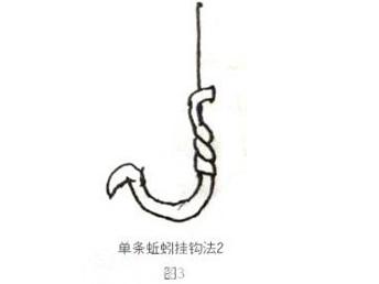 四,蚯蚓钓鱼挂钩之龙吸珠挂钩法:如图4所示,将整条蚯蚓从头部穿过,满