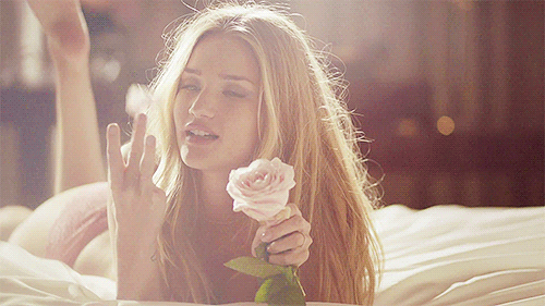 500_281 gif 动态图 动图