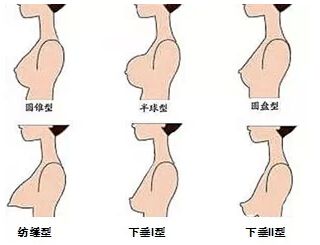 内衣尺码对照表_怎么算内衣尺码(2)