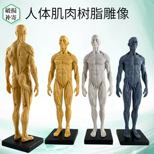 藝用3d人體- Top 50件藝用3d人體- 2023年11月更新- Taobao