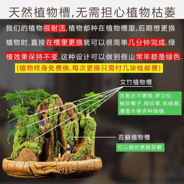 
Landscape bonsai absorbs water, rocks, rocks, flowing water, indoor small potted plants, water-filled stones, green plants, asparagus bamboo, Podocarpus pine ornaments