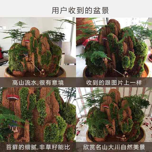 
Landscape bonsai absorbs water, rocks, rocks, flowing water, indoor small potted plants, water-filled stones, green plants, asparagus bamboo, Podocarpus pine ornaments