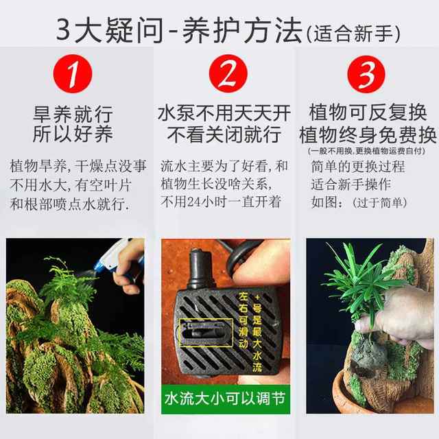 
Landscape bonsai absorbs water, rocks, rocks, flowing water, indoor small potted plants, water-filled stones, green plants, asparagus bamboo, Podocarpus pine ornaments