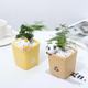 
ins desktop creative diy cartoon multi-home potted resin flower pot office gardening small meat flower pot container handmade