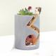 
If creative resin succulent water home gardening flower pot home decoration hedgehog potted tabletop flower pot