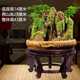 
Landscape bonsai absorbs water, rocks, rocks, flowing water, indoor small potted plants, water-filled stones, green plants, asparagus bamboo, Podocarpus pine ornaments