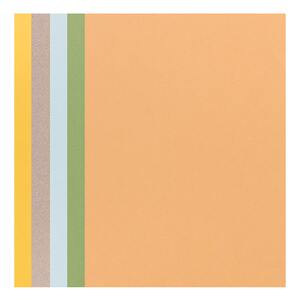 
Canson honeydew paper 4K color pink paper 8K gray velvet colored sketch paper gray oil pastel special paper chalk drawing paper 16K thickened twill gray paper color pencil paper white charcoal colored paper drawing paper