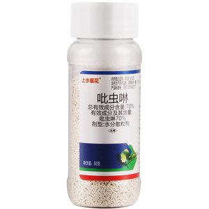 Scale insect insect insecticide 70% imidacloprid whitefly aphid small black fleece succulent plants flowers small white medicine
