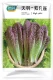 Tianyu -purple Peacock vercy 5g оригинал