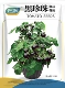 Семена томатов в горшках Black Pearl 100 шт. Оригинал
