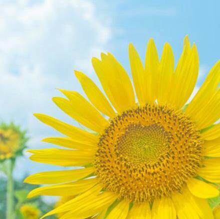 为您找到早餐饼干相关的宝贝,您可以在下面的板块中挑选喜欢的宝贝