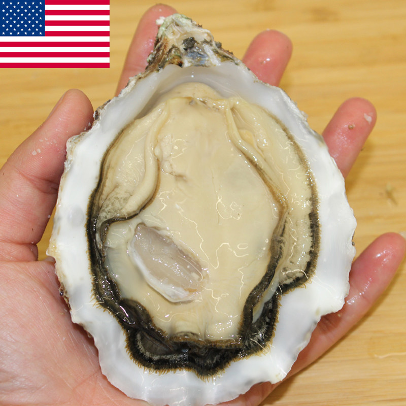 热闹的美国生蚝吧