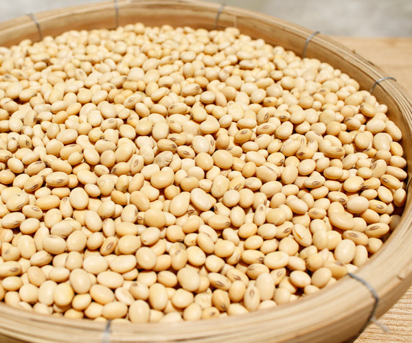 秋豆收成了,无农药无添加剂非转基因